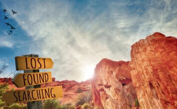 Co to jest doskonalenie zawodowe nauczycieli?